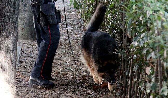 Il cane Battman e il suo conduttore durante un servizio