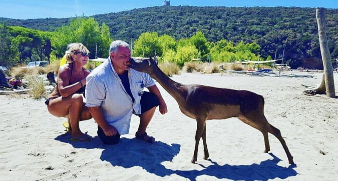 Vivarelli Colonna in spiaggia 'a tu per tu' con un daino